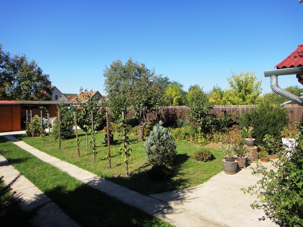 Ginkgo Apartman Demjen Exterior photo